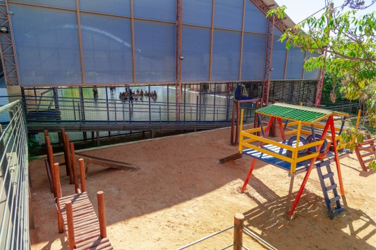 Infra Taq 7